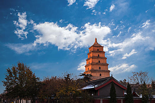 賞曲江美景，體驗(yàn)中國年
